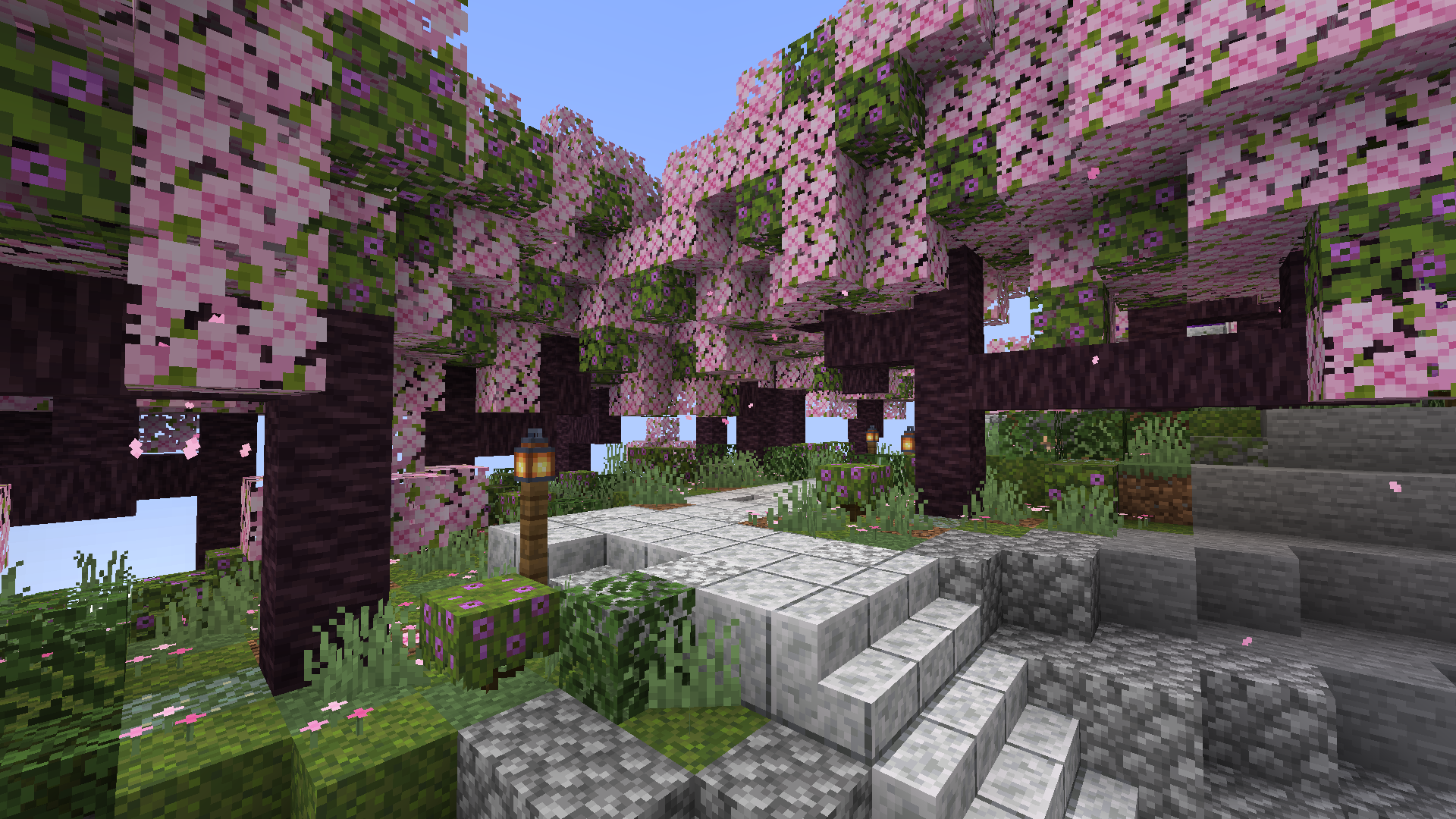 A screenshot of a small custom cherry tree environment I built. You can see some cherry trees with pink leaves and some green azalea leaves mixed it, a diorite path, and ground foliage.