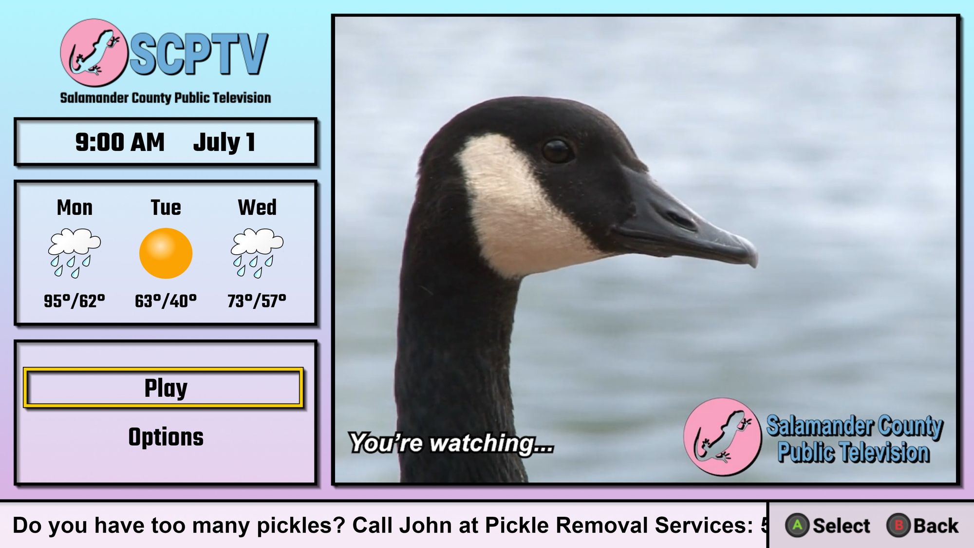 A weather screen for SCPTV depicting weather for 9am on July 1, with a goose in the main panel.