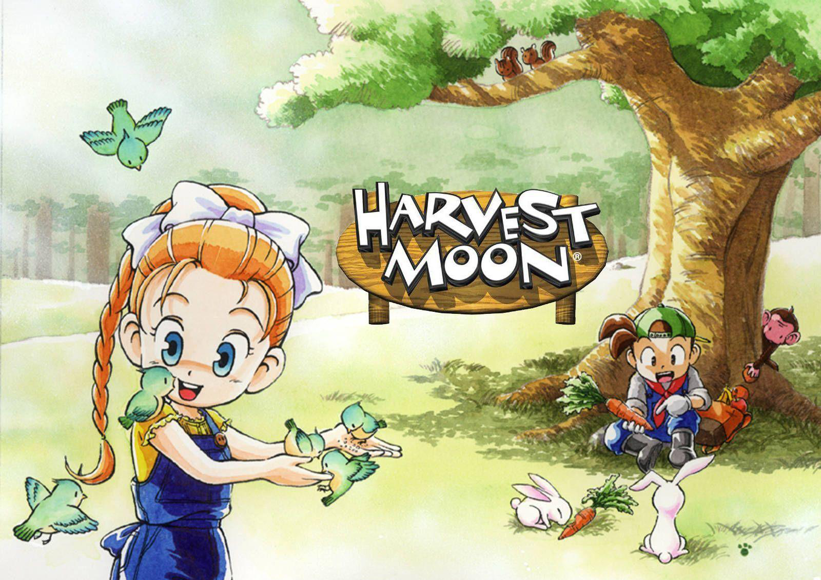 Harvest Moon DS: The Weird Mix of Two Classic Bokujou Monogatari Games