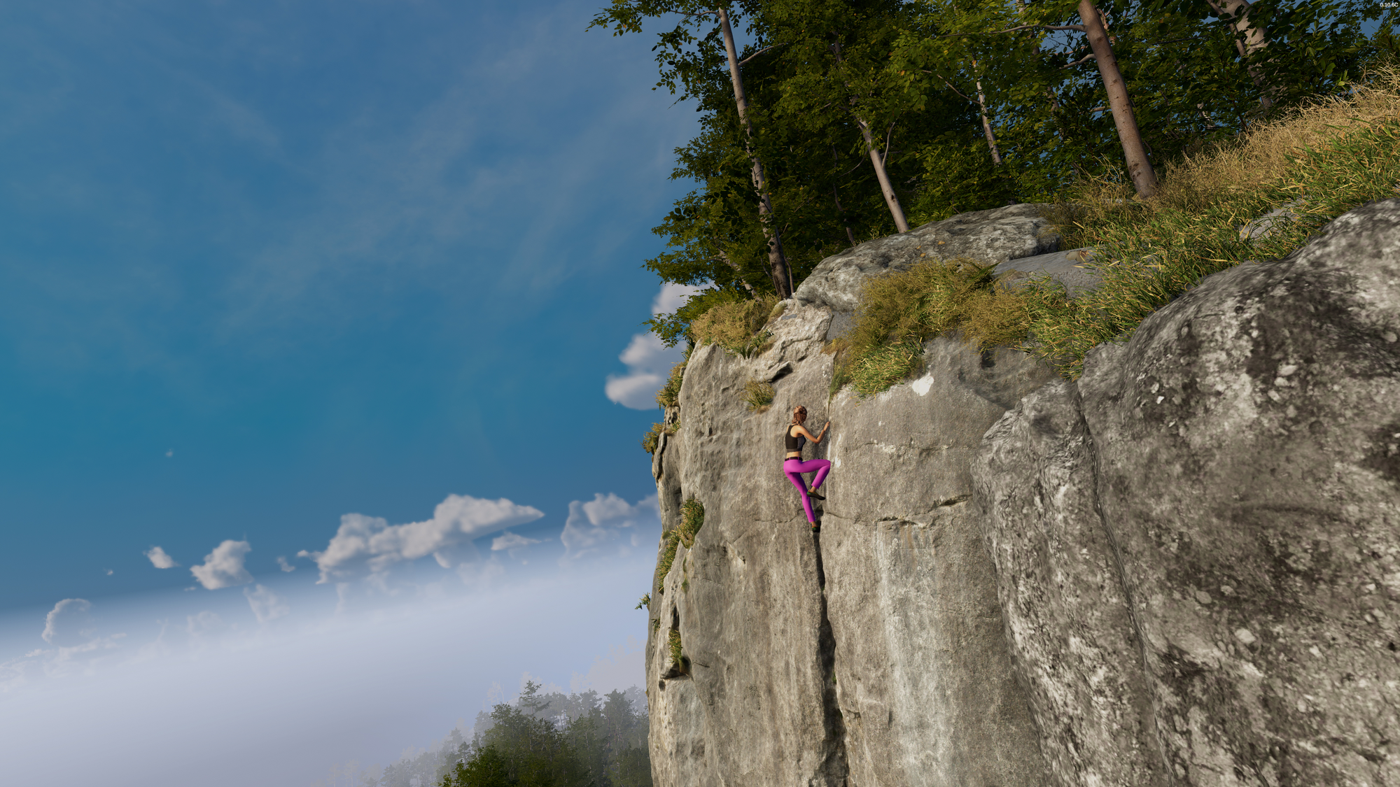 A woman free climbs a sheer cliff toward a small wood.