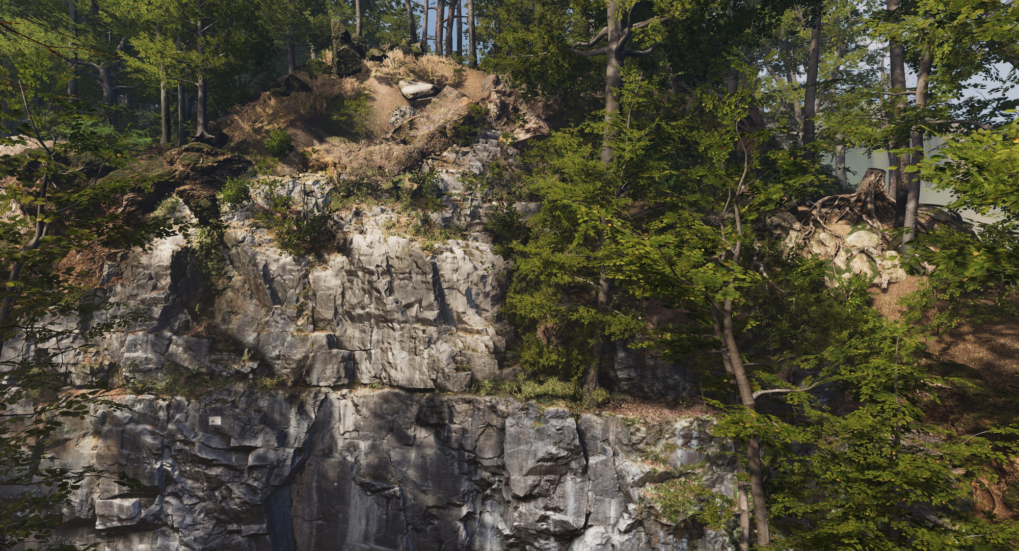 A wooded rock face with sheer, jagged cliffs in dappled sunlight.