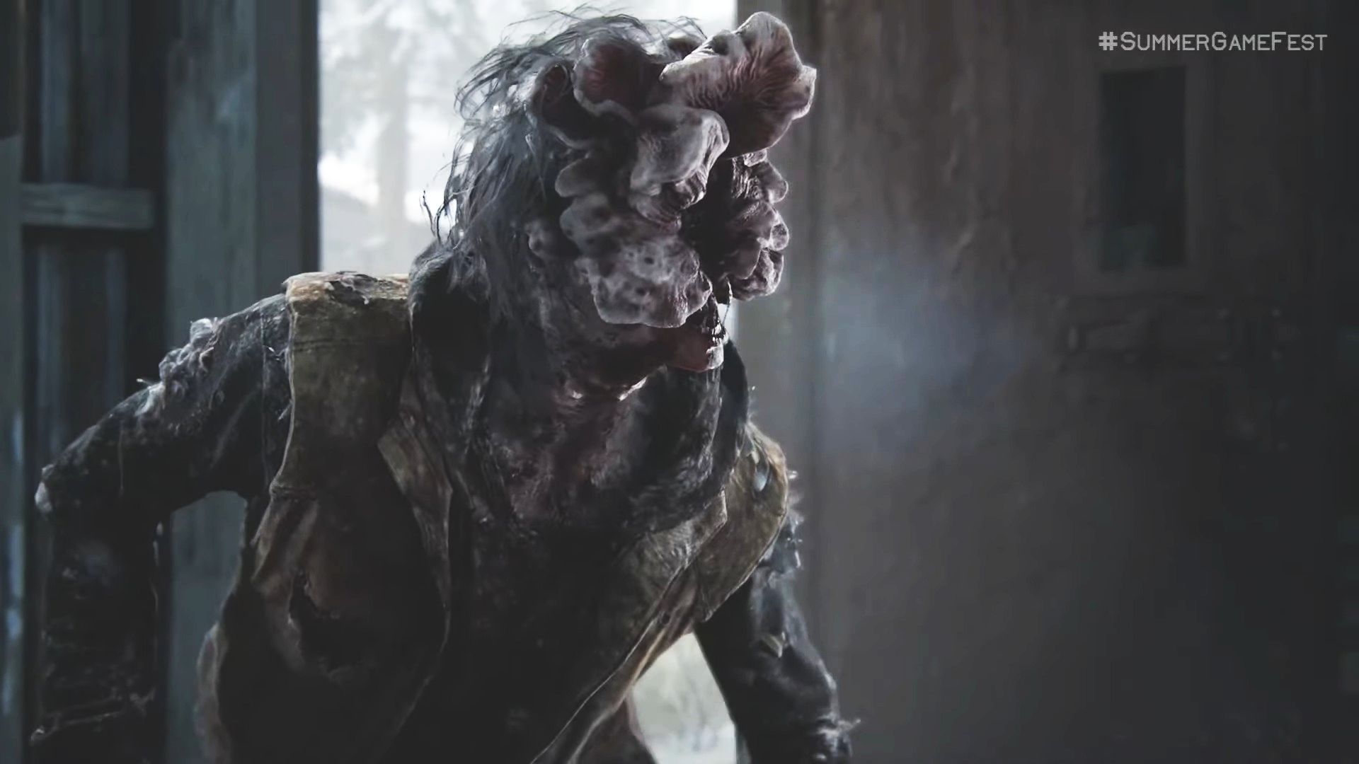 The Last of Us: How Feasible is its Cordyceps Infection?