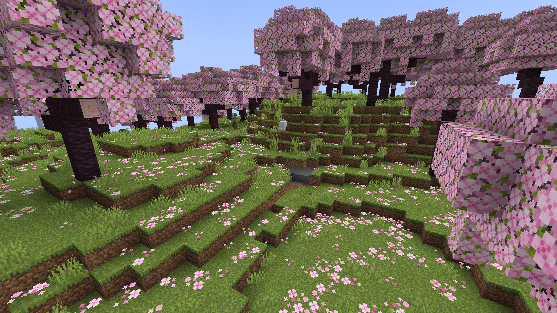 A screenshot of the Cherry Grove biome. You can see some cherry trees with pink leaves.