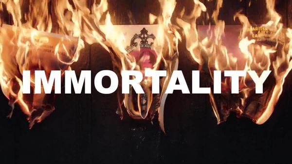 The Real Story of Immortality, Explained